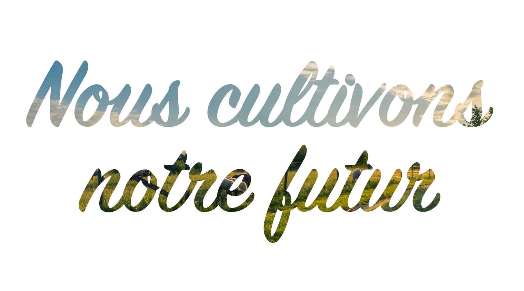 Slogan terrabio
